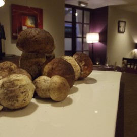 Photo 002