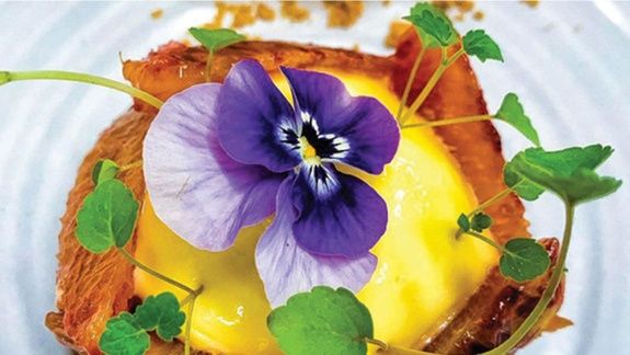 Restaurant La Rencontre à Perpignan dans le département des Pyrénées-Orientales, cuisine, produits frais et vin